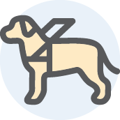 Dog wearing an assistance harness